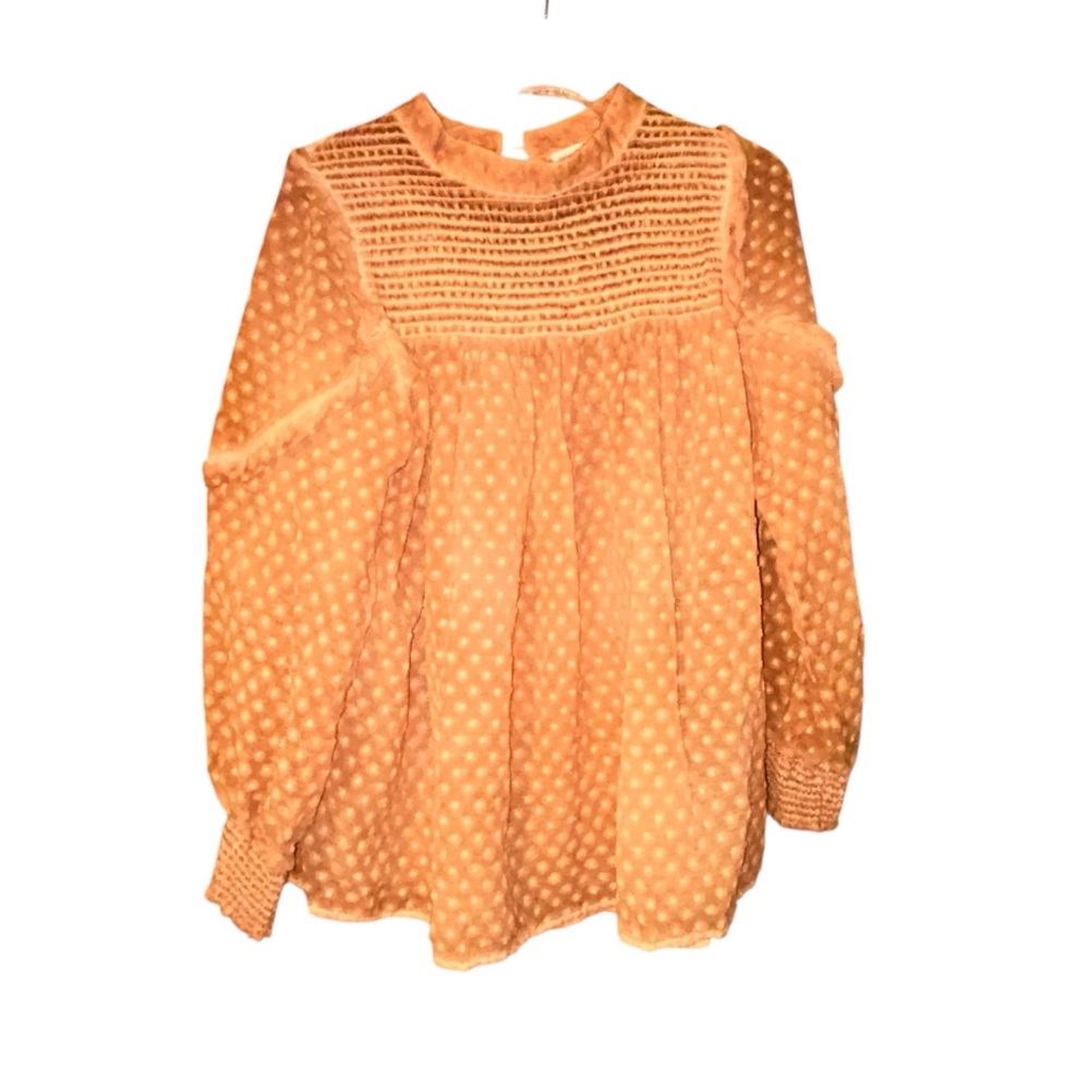 Indigo Thread Double Layer Swiss Dot Sheer Blouse Smocked Yoke Romantic 1X